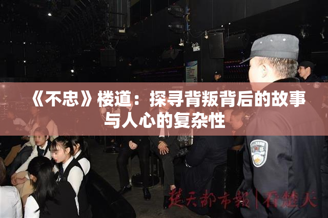 《不忠》楼道：探寻背叛背后的故事与人心的复杂性