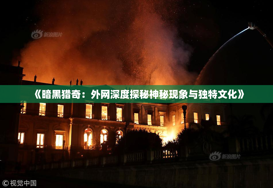 《暗黑猎奇：外网深度探秘神秘现象与独特文化》