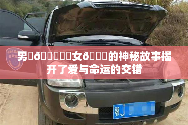 男‌🍌❌‌女🍑的神秘故事揭开了爱与命运的交错