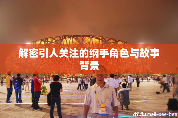 解密引人关注的纲手角色与故事背景
