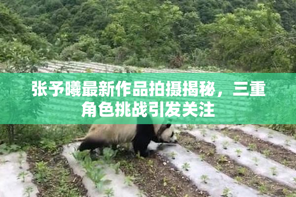 张予曦最新作品拍摄揭秘，三重角色挑战引发关注