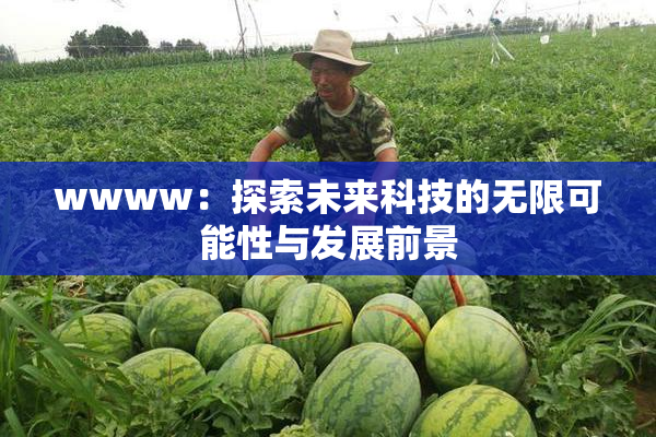 wwww：探索未来科技的无限可能性与发展前景