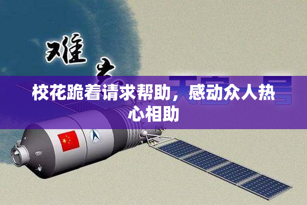 校花跪着请求帮助，感动众人热心相助