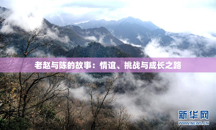 老赵与陈的故事：情谊、挑战与成长之路