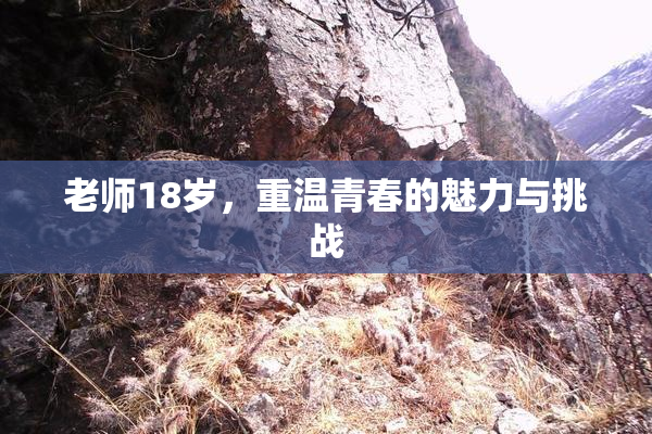 老师18岁，重温青春的魅力与挑战