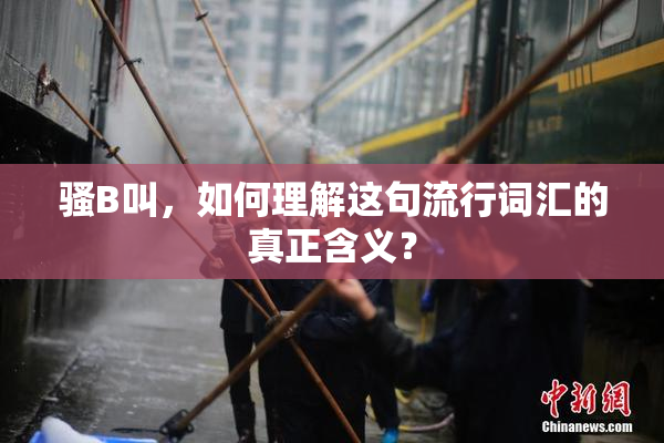 骚B叫，如何理解这句流行词汇的真正含义？
