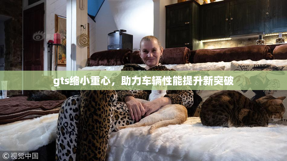 gts缩小重心，助力车辆性能提升新突破