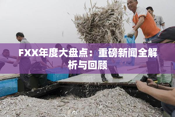FXX年度大盘点：重磅新闻全解析与回顾