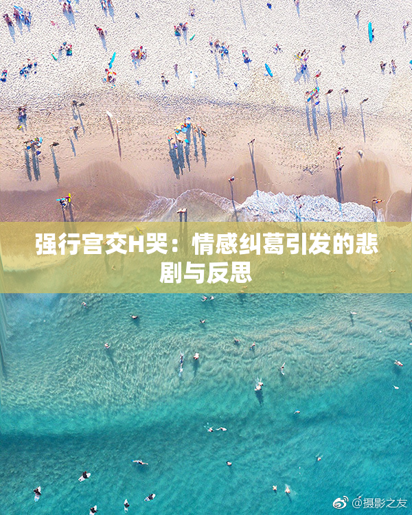 强行宫交H哭：情感纠葛引发的悲剧与反思