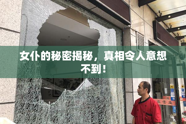 女仆的秘密揭秘，真相令人意想不到！