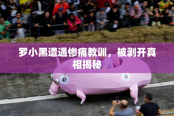 罗小黑遭遇惨痛教训，被剥开真相揭秘