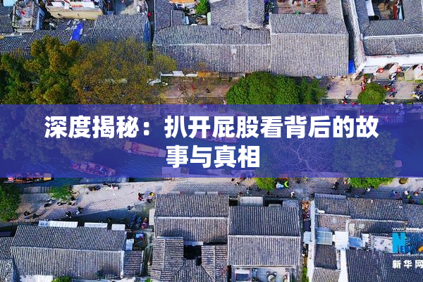 深度揭秘：扒开屁股看背后的故事与真相