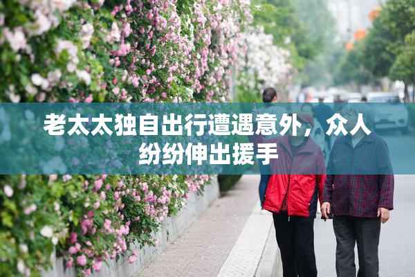 老太太独自出行遭遇意外，众人纷纷伸出援手