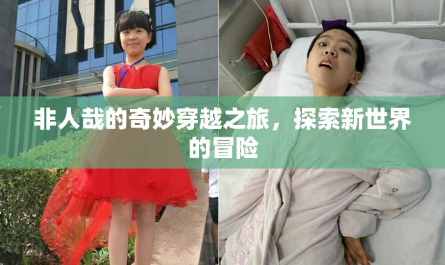 非人哉的奇妙穿越之旅，探索新世界的冒险