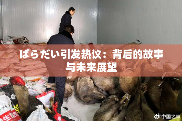 ぱらだい引发热议：背后的故事与未来展望