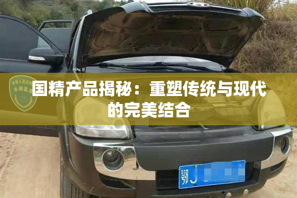 国精产品揭秘：重塑传统与现代的完美结合