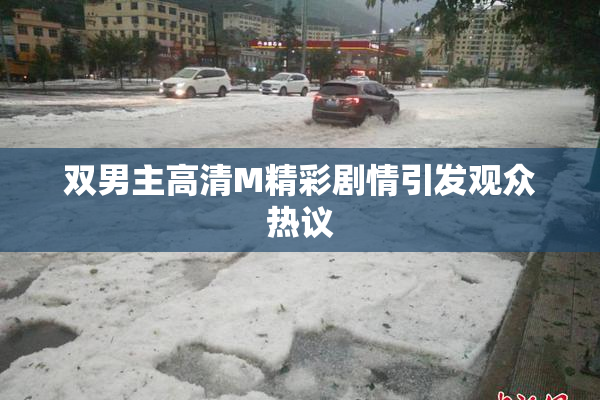 双男主高清M精彩剧情引发观众热议