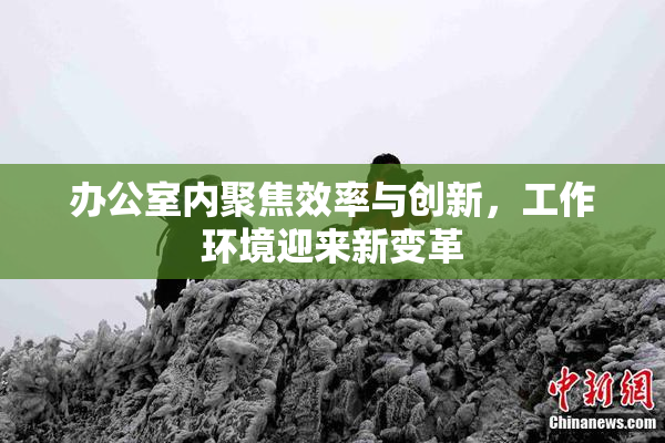 办公室内聚焦效率与创新，工作环境迎来新变革