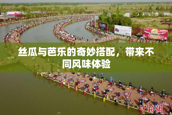 丝瓜与芭乐的奇妙搭配，带来不同风味体验