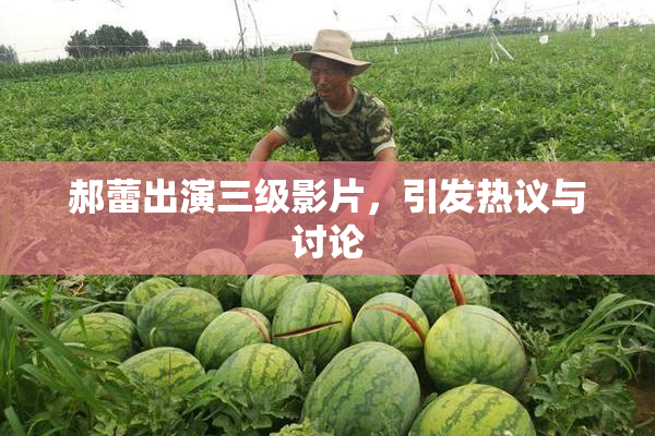 郝蕾出演三级影片，引发热议与讨论