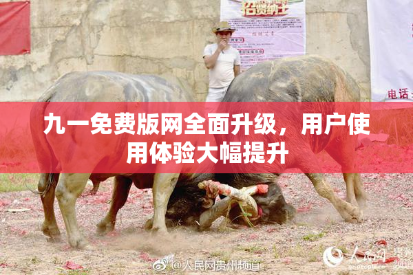 九一免费版网全面升级，用户使用体验大幅提升