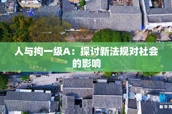 人与拘一级A：探讨新法规对社会的影响