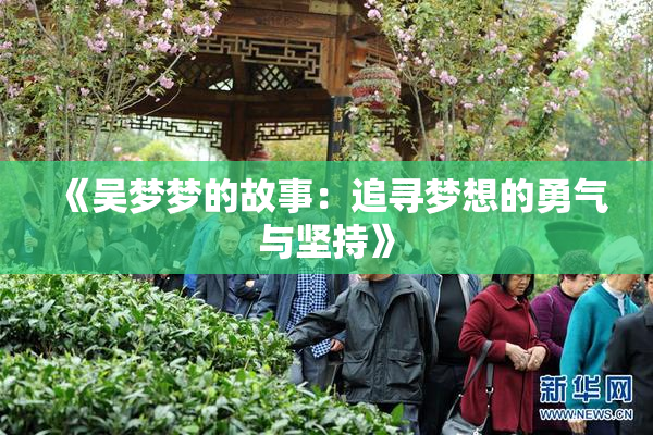 《吴梦梦的故事：追寻梦想的勇气与坚持》