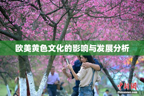 欧美黄色文化的影响与发展分析