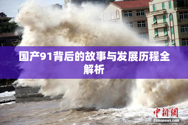 国产91背后的故事与发展历程全解析