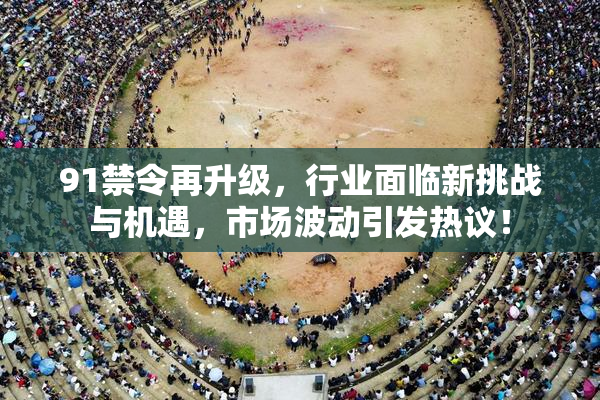 91禁令再升级，行业面临新挑战与机遇，市场波动引发热议！