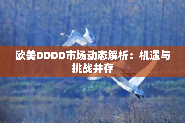 欧美DDDD市场动态解析：机遇与挑战并存