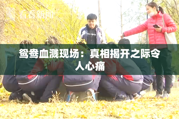 鸳鸯血溅现场：真相揭开之际令人心痛