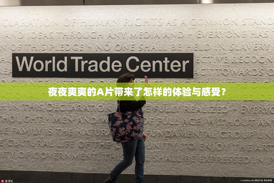 夜夜爽爽的A片带来了怎样的体验与感受？