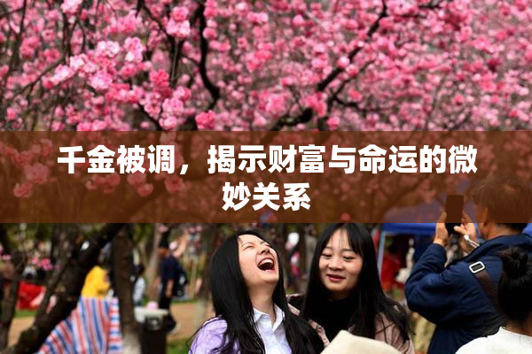千金被调，揭示财富与命运的微妙关系