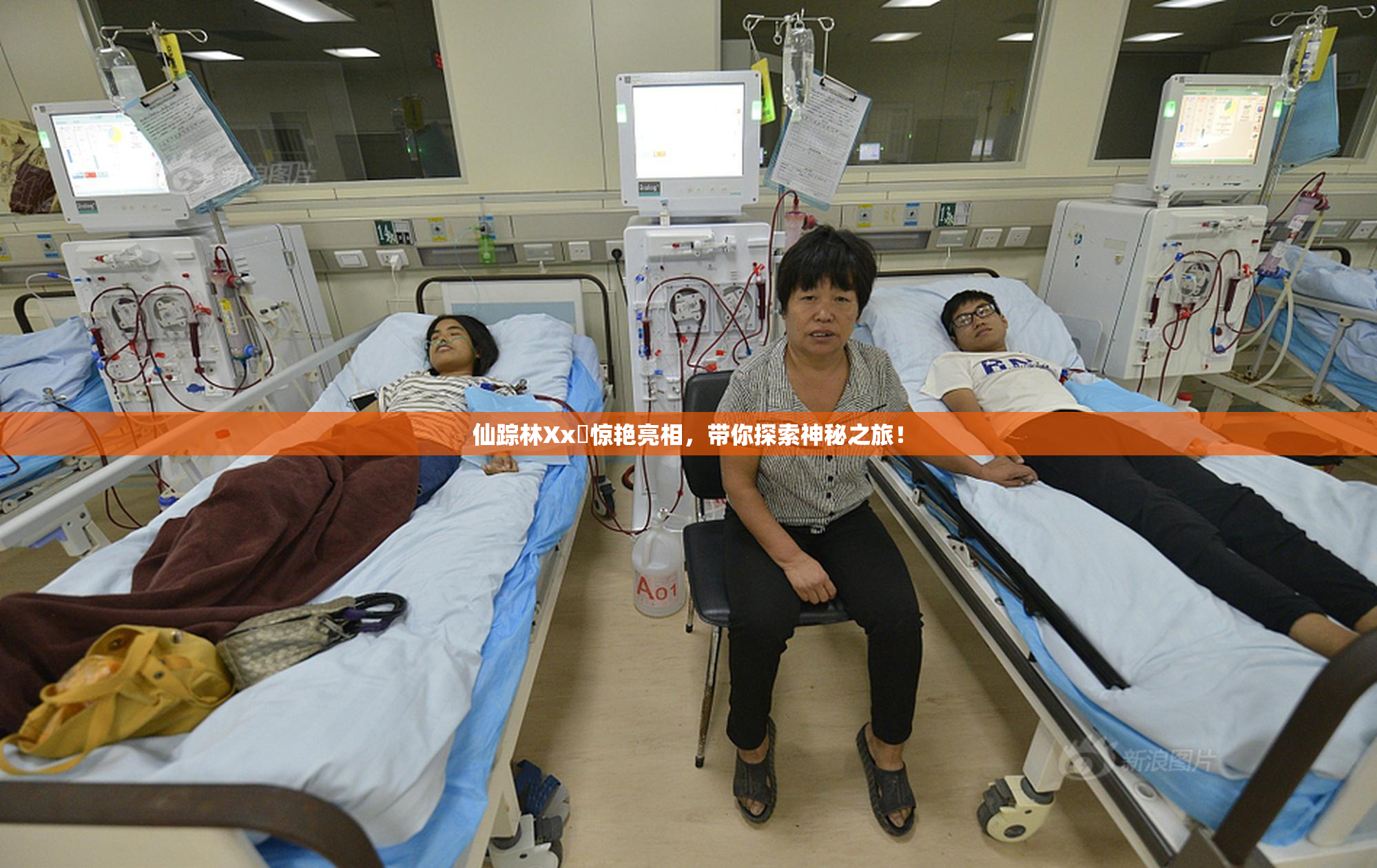 仙踪林Xx乂惊艳亮相，带你探索神秘之旅！