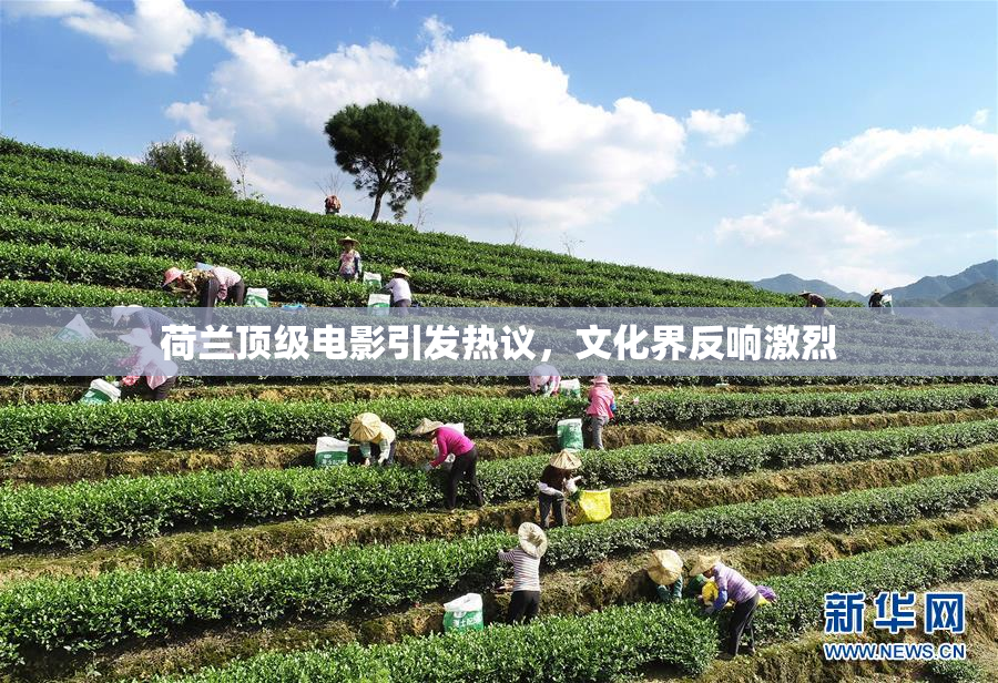 荷兰顶级电影引发热议，文化界反响激烈