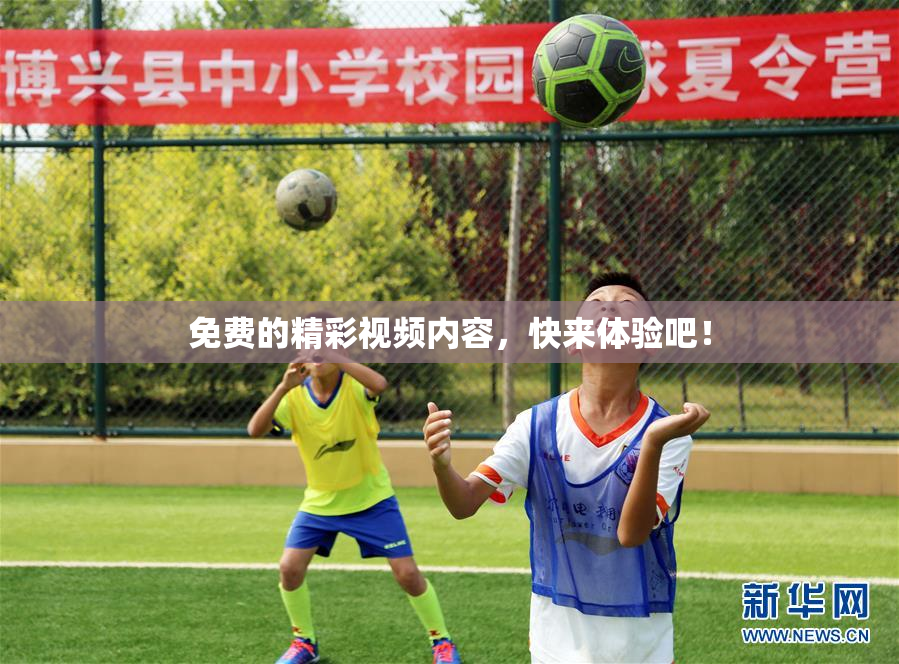 免费的精彩视频内容，快来体验吧！