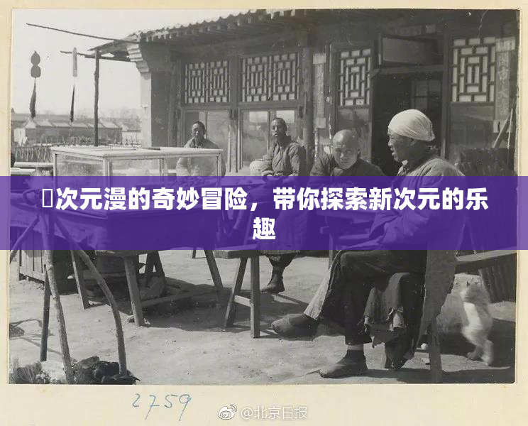 囧次元漫的奇妙冒险，带你探索新次元的乐趣