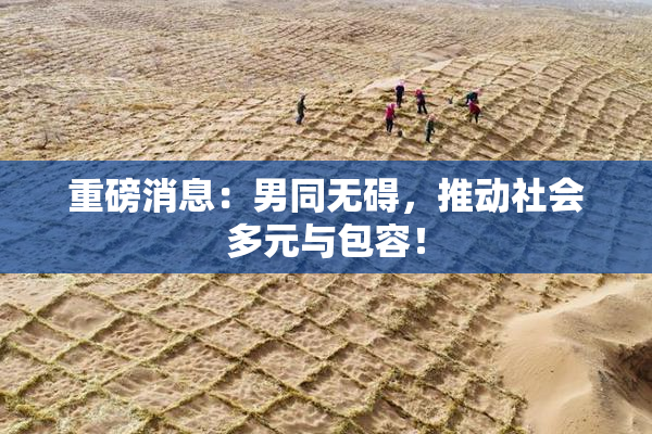 重磅消息：男同无碍，推动社会多元与包容！