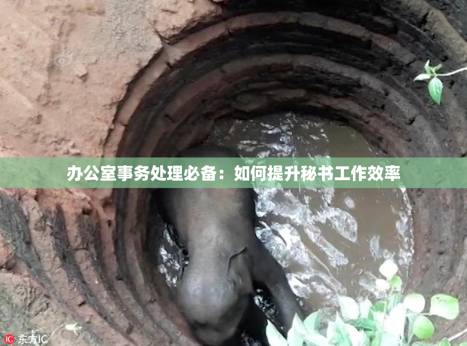 办公室事务处理必备：如何提升秘书工作效率