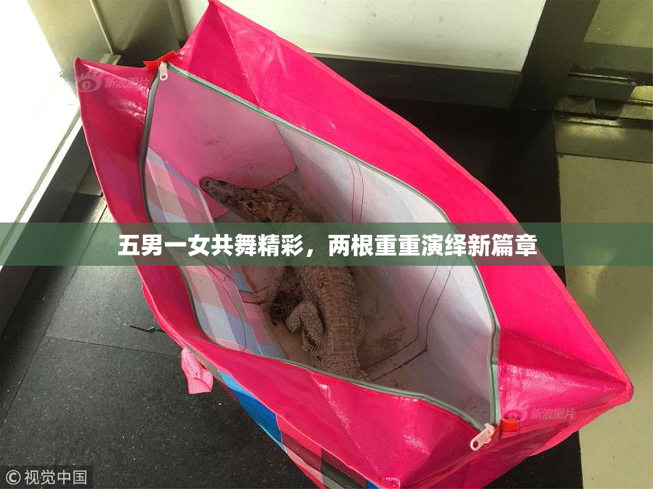 五男一女共舞精彩，两根重重演绎新篇章