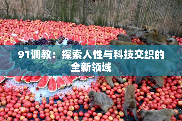 91调教：探索人性与科技交织的全新领域