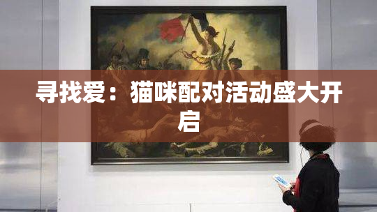 寻找爱：猫咪配对活动盛大开启