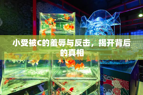 小受被C的羞辱与反击，揭开背后的真相