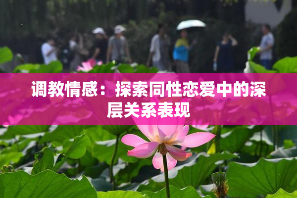 调教情感：探索同性恋爱中的深层关系表现