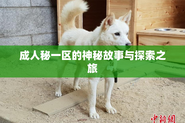 成人秘一区的神秘故事与探索之旅