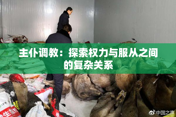 主仆调教：探索权力与服从之间的复杂关系