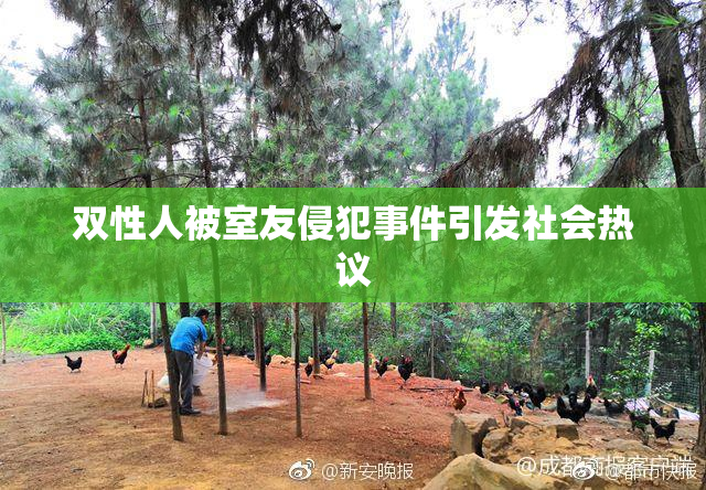 双性人被室友侵犯事件引发社会热议
