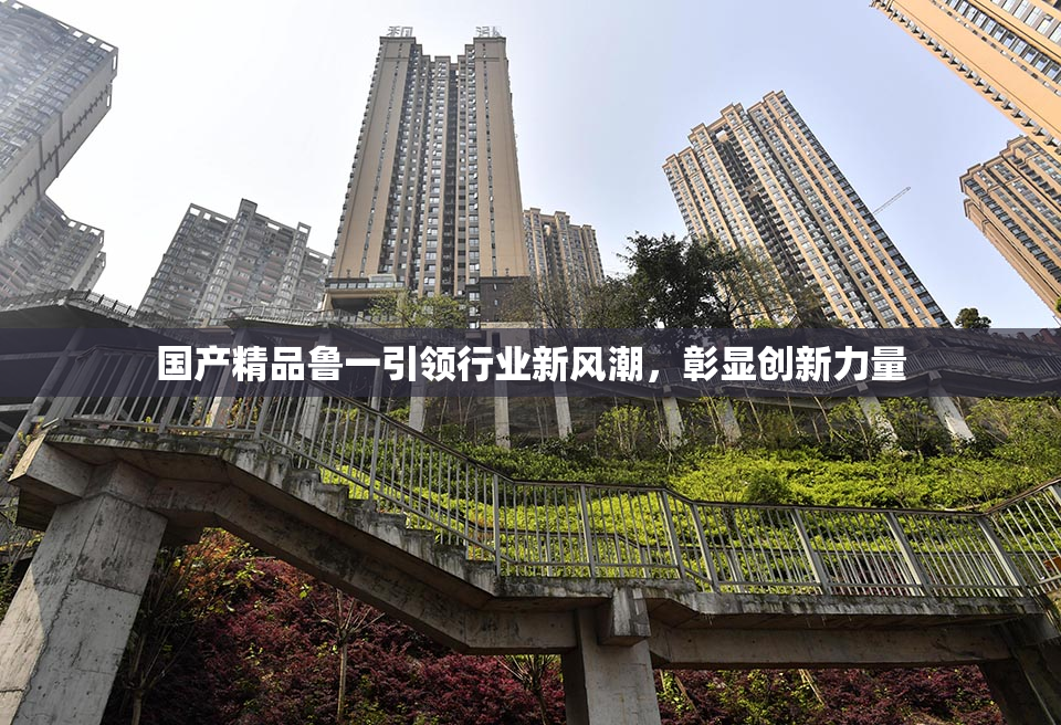 国产精品鲁一引领行业新风潮，彰显创新力量