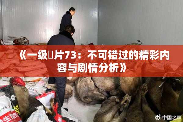 《一级婬片73：不可错过的精彩内容与剧情分析》